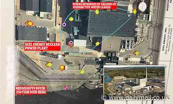 Fears for Minnesota town where nuclear power plant leaked 400,000 gallons of toxic waste