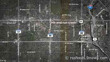 Driver ran red light, killed woman in crosswalk