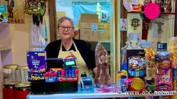 Solar switch brings sweet rewards for businesses dodging pumped up power bills