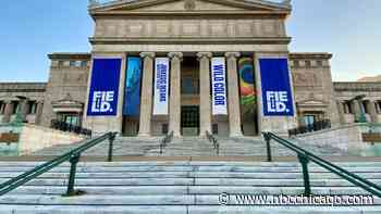 A Look at Chicago Museums to Visit For Spring Break