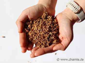 Erst Bier brauen, dann Energie speichern