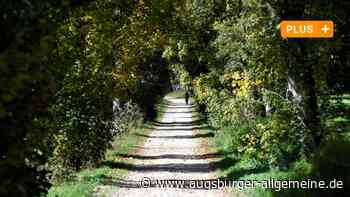 Wie viele Parkplätze braucht ein Friedhof im Wald?