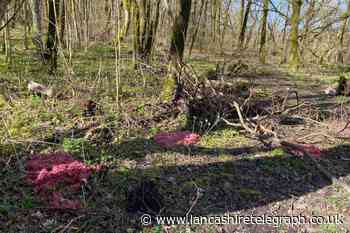 Fly-tipped mince at The Coppice cause for concern for residents