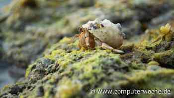 Pimp my Administrations-Framework: 7 essenzielle PowerShell-Tools