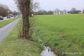 Zieht das Handwerk an die Steinfurter Straße?