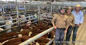 Interstate bids renew market | The First Draft