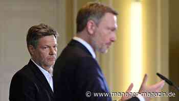 Umweltverbände kritisieren Ampel-Beschlüsse