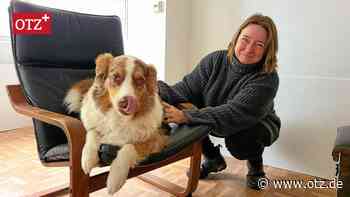 Hier ist nichts für die Katz – eine Tagesstätte für Hunde in Jena