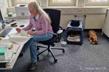 Hilfreiche Spürnasen sind im Büro willkommen