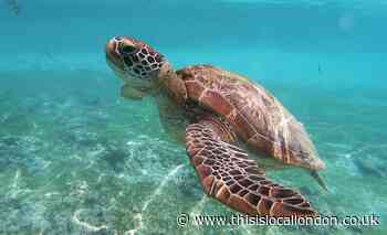 Why does climate change happen by Trey Bowen