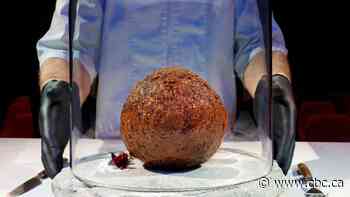 Giant meatball with woolly mammoth DNA unveiled by cultured meat startup