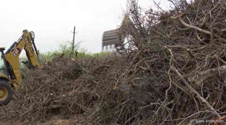 Tree care company contracted to help with ice storm cleanup in Williamson County parks