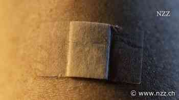 ERKLÄRT - Wer braucht einen Frühlingsbooster? Sollte es einer der neuen, angepassten Impfstoffe sein?