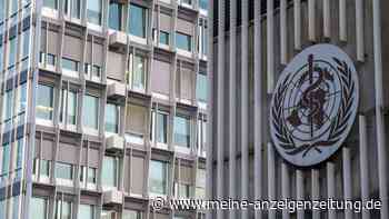 WHO: Vogelgrippe-Risiko für Menschen wächst