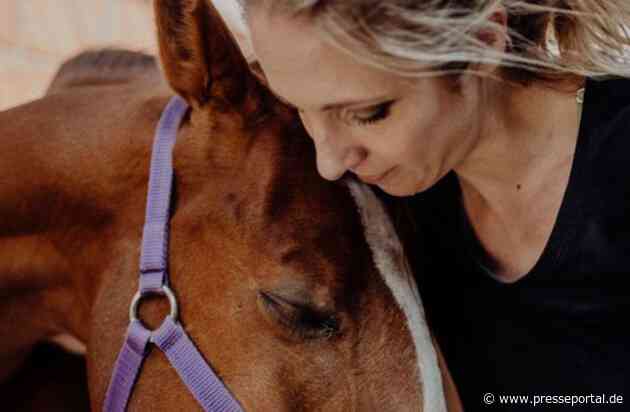 Erkrankungen und Verletzungen bei Pferden: Pferde-Physiotherapeutin Julia Greb verrät, bei welchen Anzeichen Pferdehalter besonders aufpassen müssen