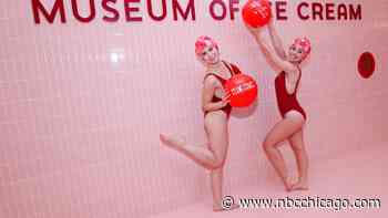 7 Chicago Museums to Visit Over Spring Break