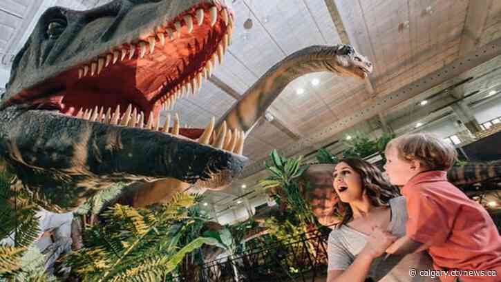 Calgary and Lethbridge to go prehistoric with return of Jurassic Quest