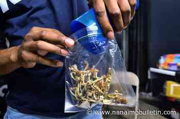 Health-care professionals fight decision to reject access to psilocybin for training