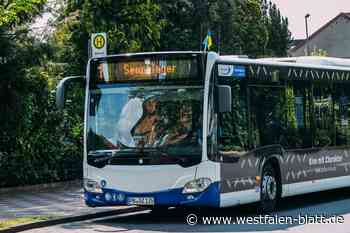 Busse des Padersprinters sollen bald wie gewohnt fahren