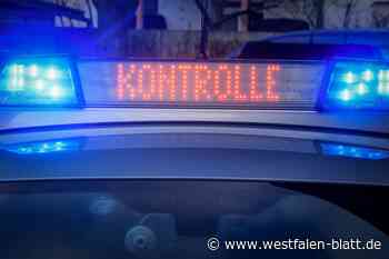 Polizei zieht Autofahrerin aus dem Verkehr