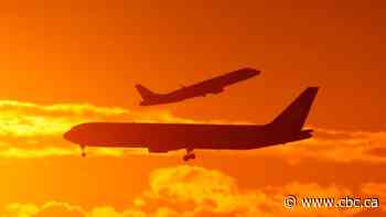 I was an avid traveller, but I stopped flying 20 years ago. You can too