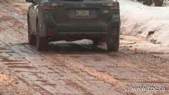 When spring flings mud, P.E.I. election candidates go where others fear to tread