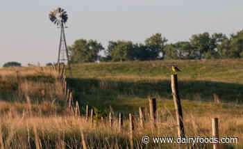 Nestlé, Cargill team with National Fish and Wildlife Foundation to help combat climate change