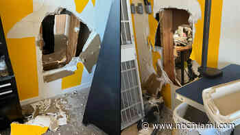 ‘Very Sad': Thieves Bust Through Walls of Multiple Wilton Manors Businesses