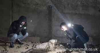 Moment 'cruel' boys pose with confused seal pup at Hornsea as public warned to stay away