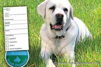 Detmold: Sind Hunde nicht nur weiblich und männlich?