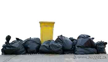 Bonfield moves to clear garbage bags