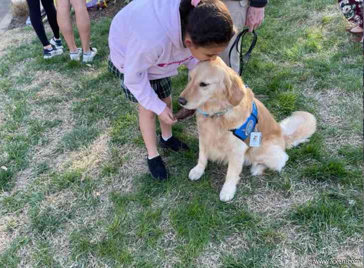 WATCH: Comfort dogs deployed to Nashville school following shooting