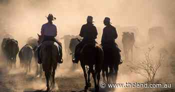 Research considers key drivers of workforce retention and attraction across rural industries