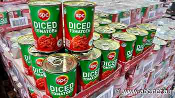 Expect to see less canned tomatoes on supermarket shelves this year