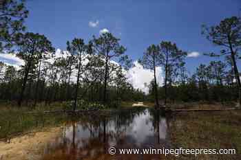 Congress approves measure to toss Biden’s water protections