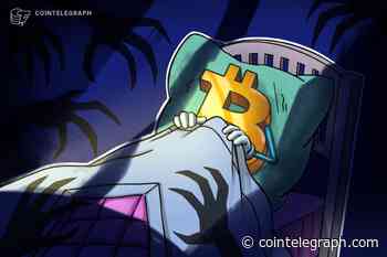 Mysterious entity may be collecting BTC users' IP addresses — Bitcoin developer