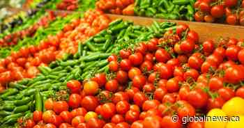 Kingston-area MPs react to federal budget