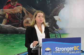 B.C. announces increased rates for foster parents and kinship care providers