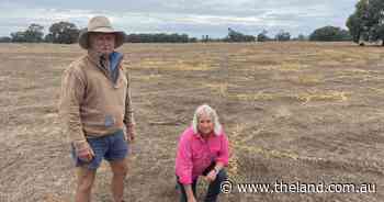 Rough ride to flood recovery| Photos