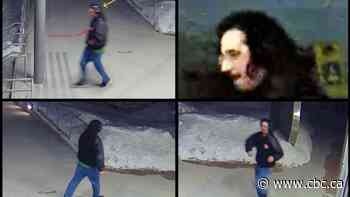 Winnipeg police release more images, video of suspect in assault near law courts