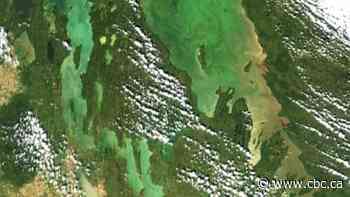 Federal budget calls for Winnipeg to serve as HQ for new Canada Water Agency