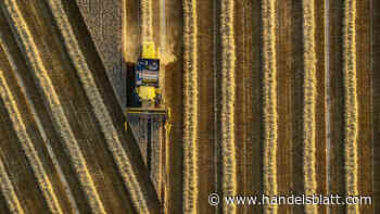 Anlagetrend: K+S, Nutrien, und Corteva: Gute Aussichten für Agrar-Aktien