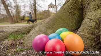 Eier-Färben wird wohl teuer – Experten rechnen zu Ostern mit hohen Eier-Preisen