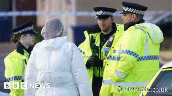 Cambridgeshire: Arrests after men shot dead in 'targeted' attacks
