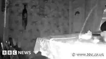 Moment car crashes into living room, causing £30,000 of damage in Cambridgeshire