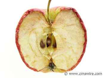 When Good CMOs Go Bad: Tales of Woe in the World of Digital Operations