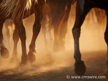 Why Marketing Leaders Need to Harness the Power of AI Now