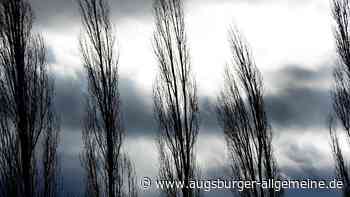 Sturm: Ab wann die Stadt den Botanischen Garten schließt