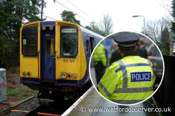 'Boy bloodied by savage belt attack on Abbey Flyer train'