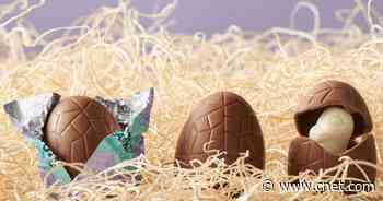 25 Cute and Creative Easter Basket Ideas That Aren't Junk     - CNET
